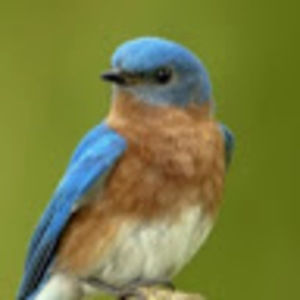 Meet your Posher, Ny